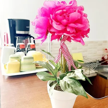 شقة Apartament Roxana *